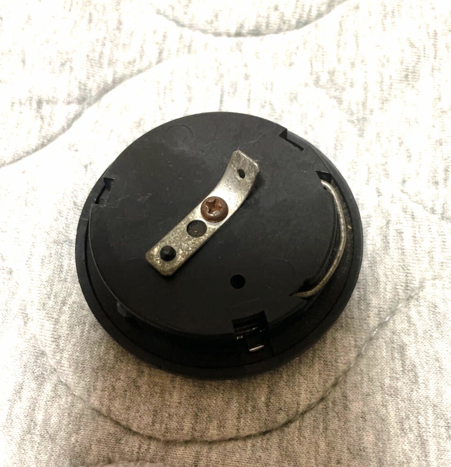 TARANTULA Horn Button - JDM Import