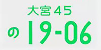 Jiko Shiki Illumination JDM licence plates - 19-06 model